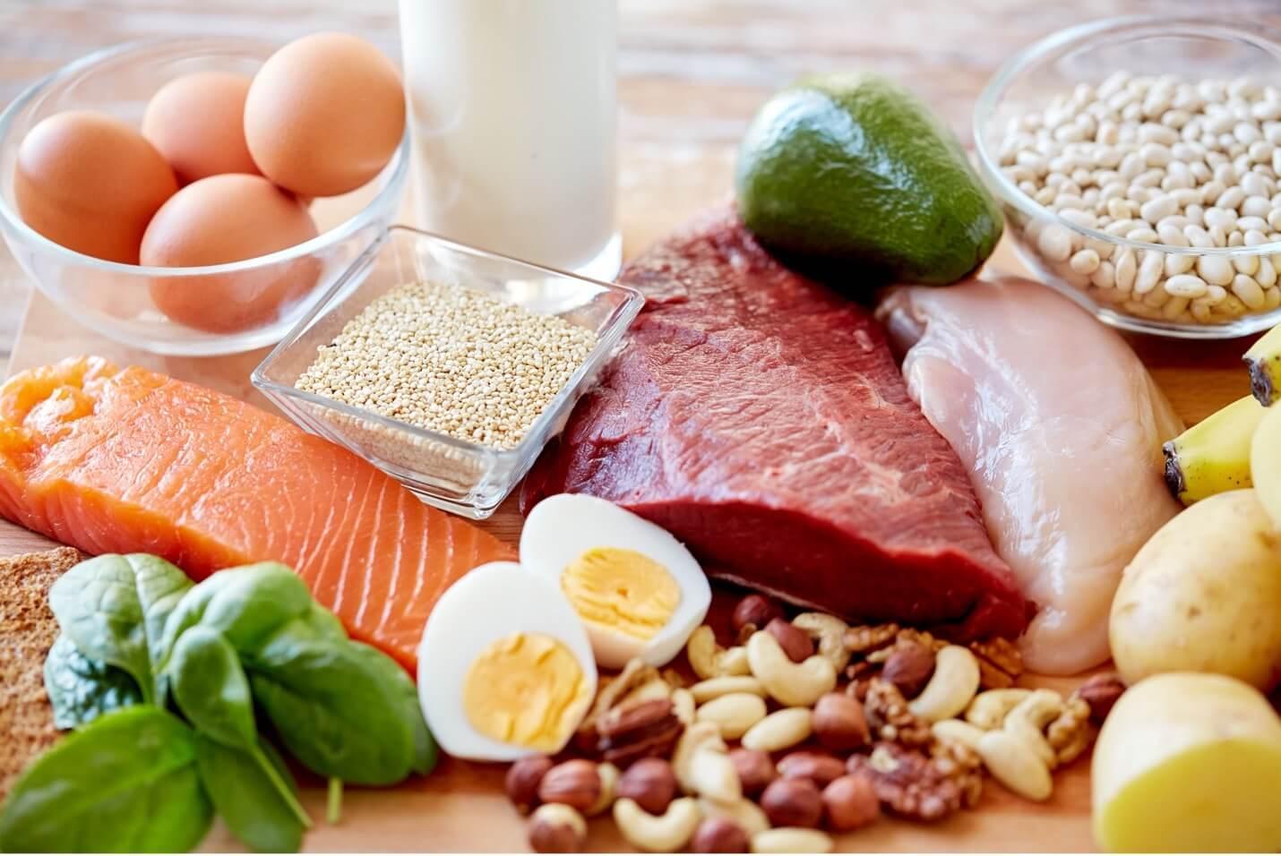 Protein, The Nutrition Source